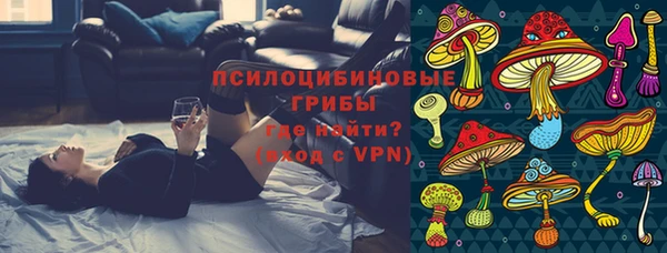 МДПВ Алзамай