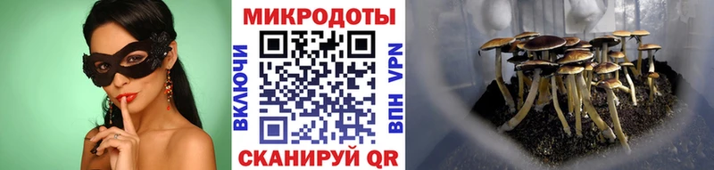Галлюциногенные грибы MAGIC MUSHROOMS  купить наркотики сайты  Коркино 
